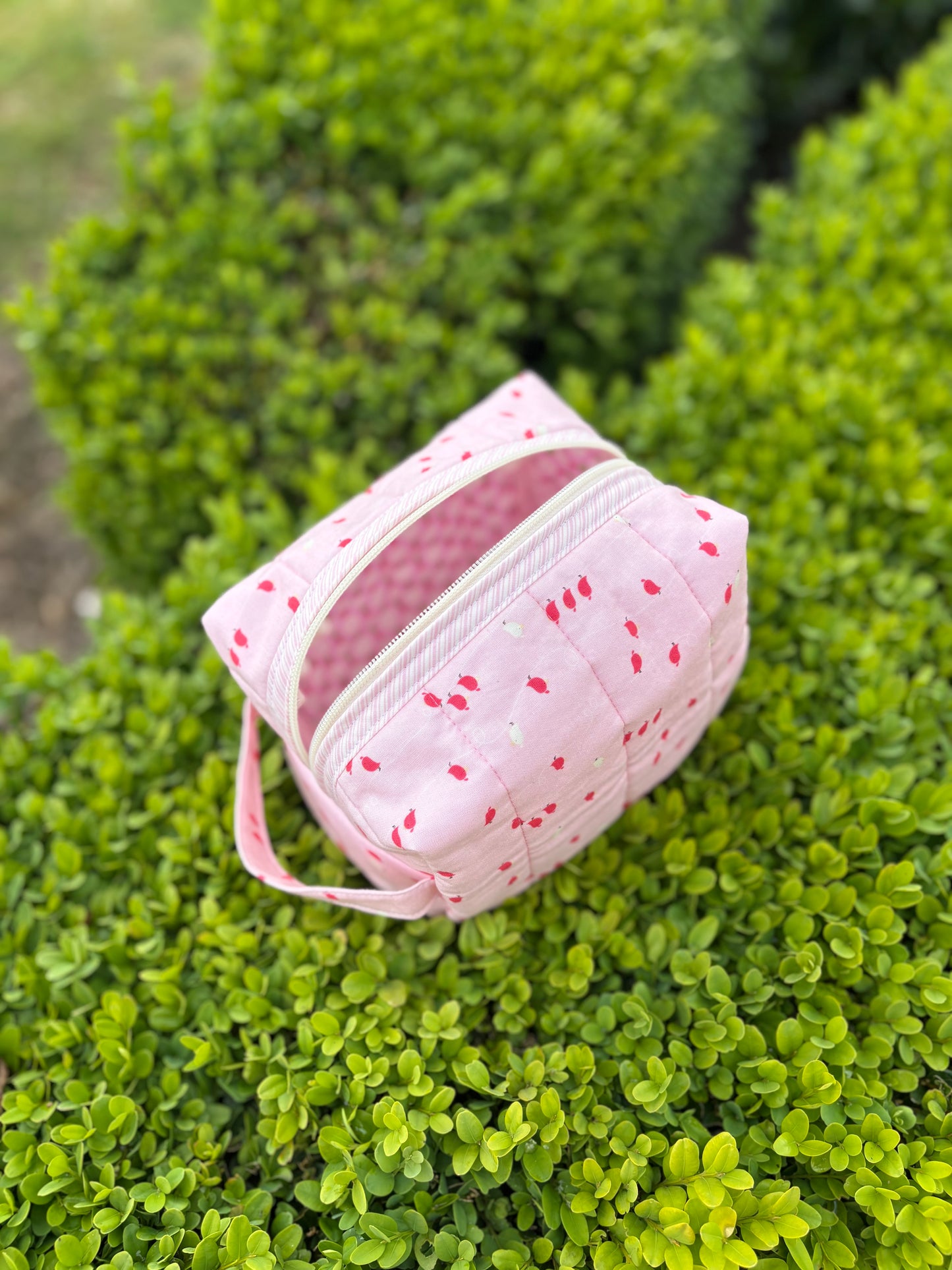 Little birdie box pouch